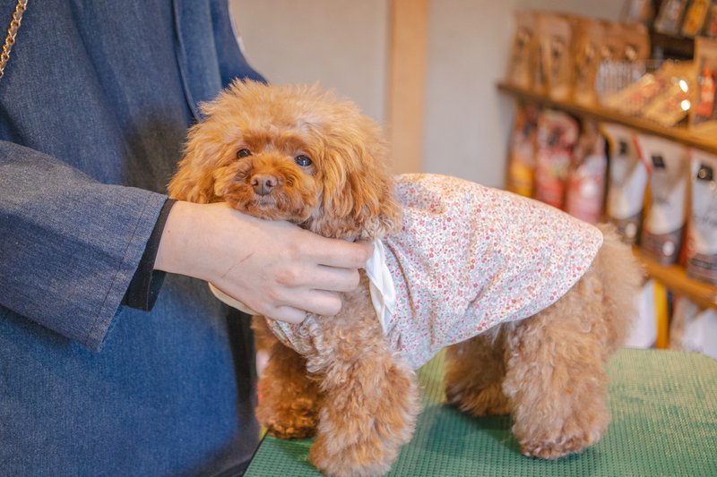 ウェアは試着可能